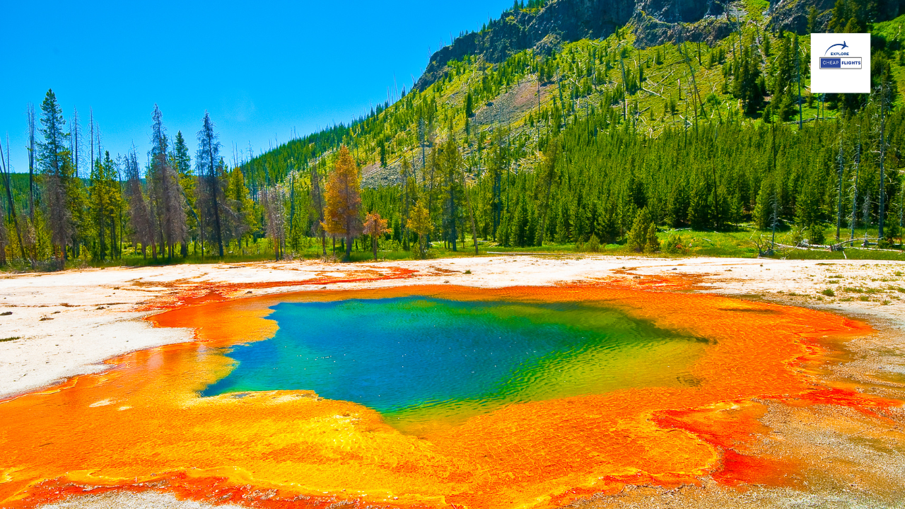Top 7 Best Family Vacations in the United States of 2024.