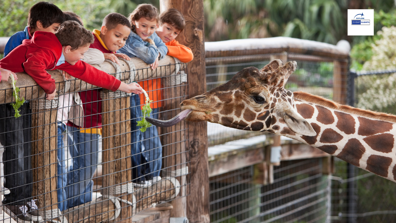 The 5 Best Zoos in the United States .